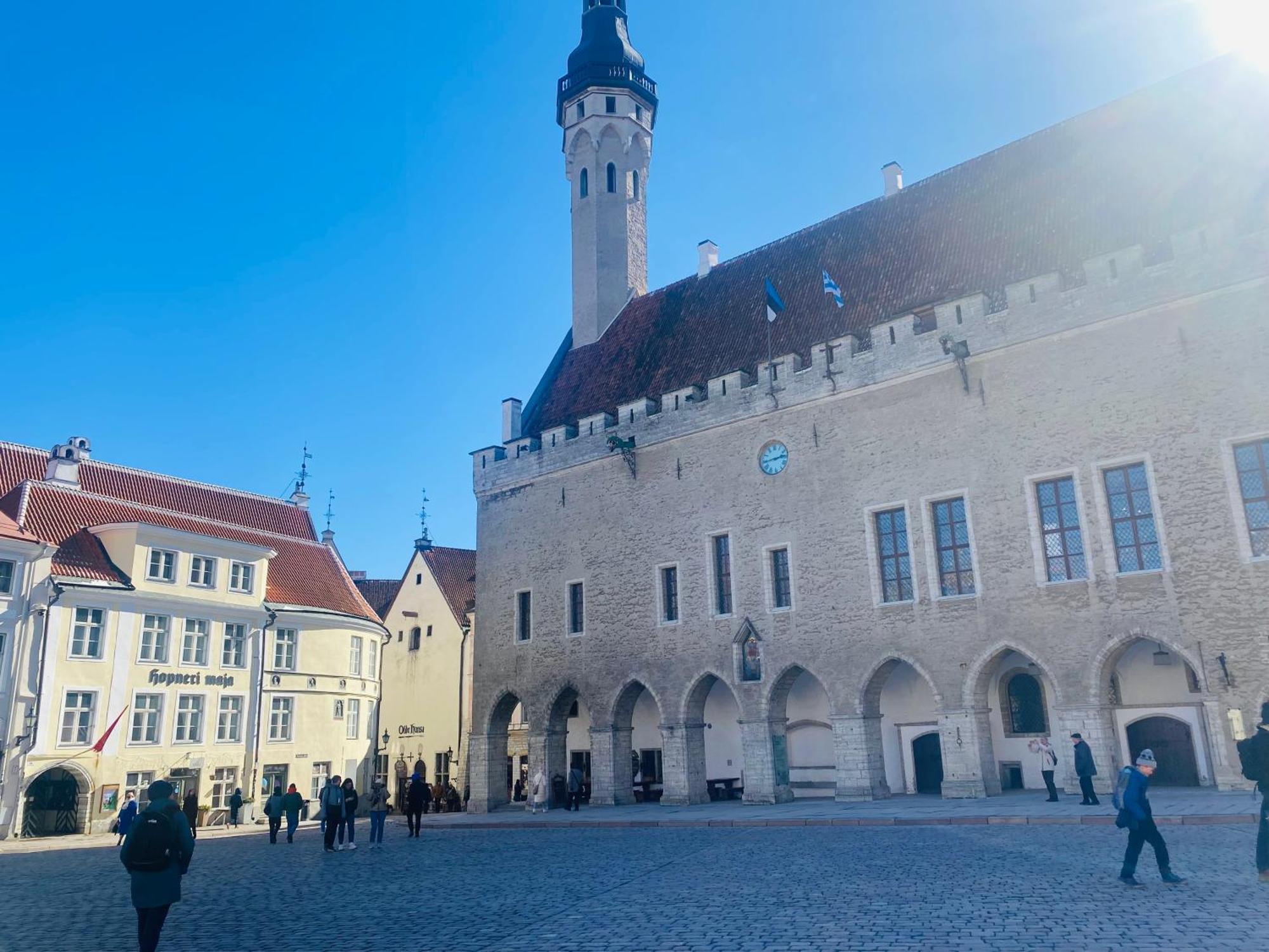 Cozy Oldtown Apartment Next Of Town Hall Square Tallinn Buitenkant foto